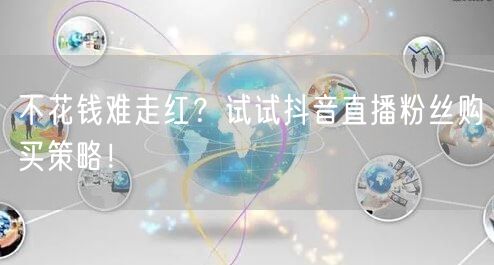 不花钱难走红？试试抖音直播粉丝购买策略！