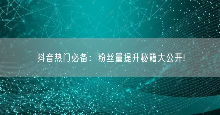 抖音热门必备：粉丝量提升秘籍大公开!