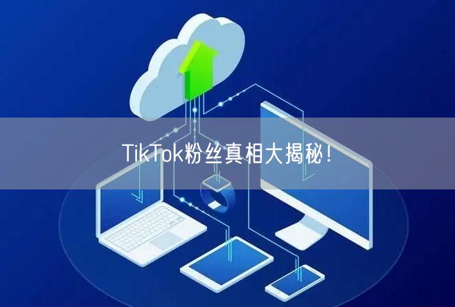 TikTok粉丝真相大揭秘！