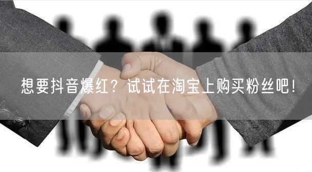 想要抖音爆红？试试在淘宝上购买粉丝吧！