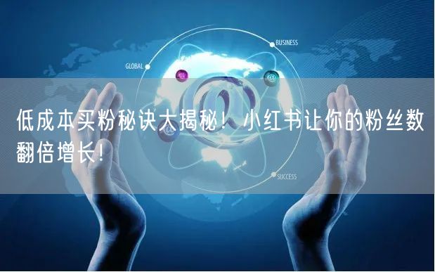 低成本买粉秘诀大揭秘！小红书让你的粉丝数翻倍增长！