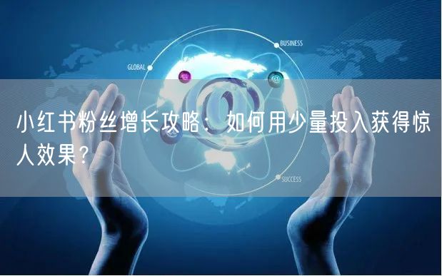 小红书粉丝增长攻略：如何用少量投入获得惊人效果？