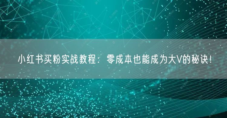 小红书买粉实战教程：零成本也能成为大V的秘诀！