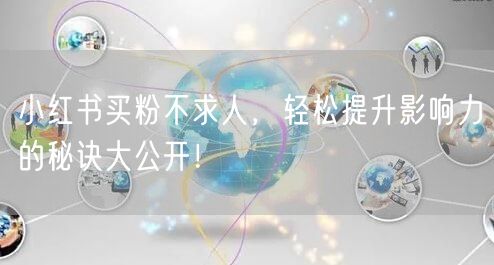 小红书买粉不求人，轻松提升影响力的秘诀大公开！