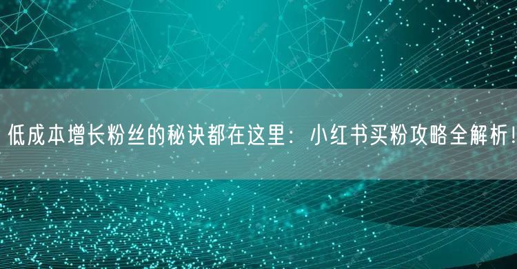 低成本增长粉丝的秘诀都在这里：小红书买粉攻略全解析！