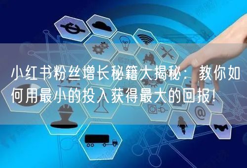 小红书粉丝增长秘籍大揭秘：教你如何用最小的投入获得最大的回报！