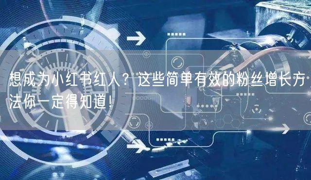 想成为小红书红人？这些简单有效的粉丝增长方法你一定得知道！