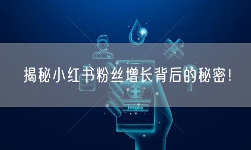 揭秘小红书粉丝增长背后的秘密！