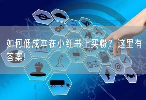 如何低成本在小红书上买粉？这里有答案！