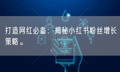 打造网红必备：揭秘小红书粉丝增长策略。