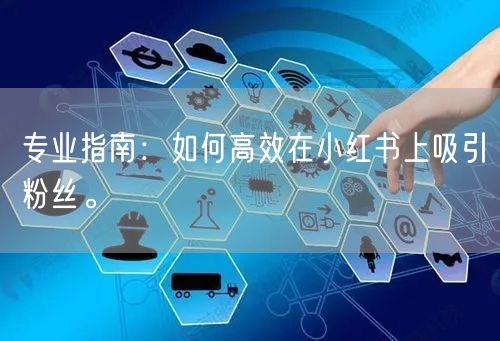 专业指南：如何高效在小红书上吸引粉丝。
