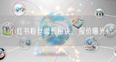 小红书粉丝增长秘诀，报价曝光！