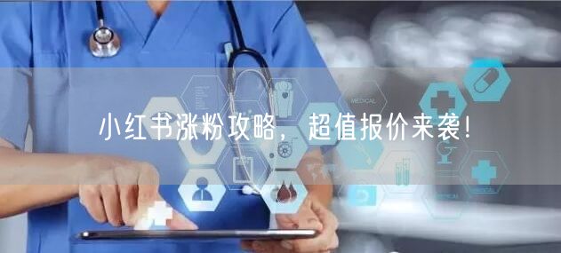 小红书涨粉攻略，超值报价来袭！