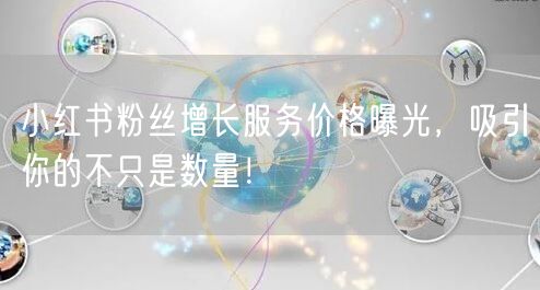 小红书粉丝增长服务价格曝光，吸引你的不只是数量！