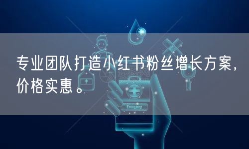 专业团队打造小红书粉丝增长方案，价格实惠。