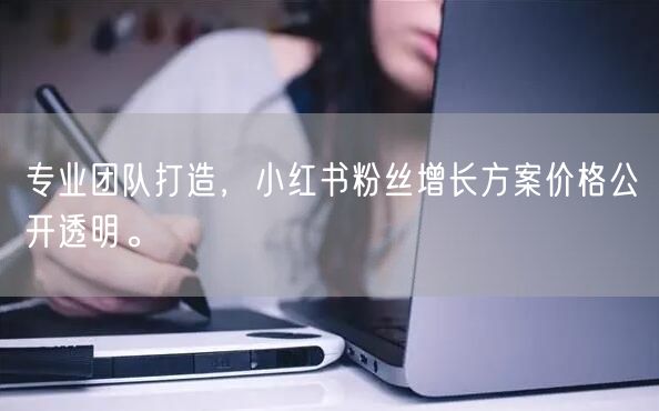 专业团队打造，小红书粉丝增长方案价格公开透明。