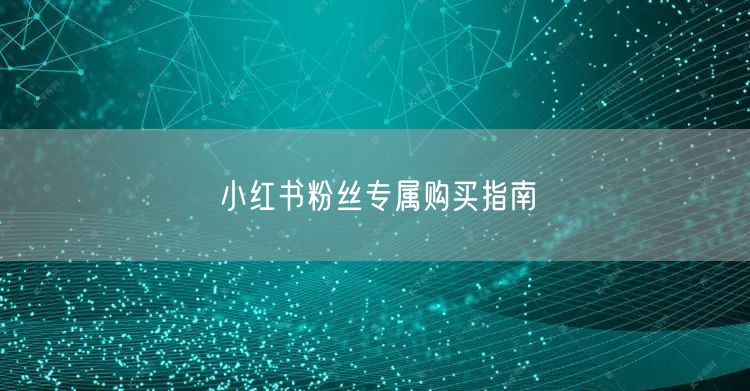 小红书粉丝专属购买指南