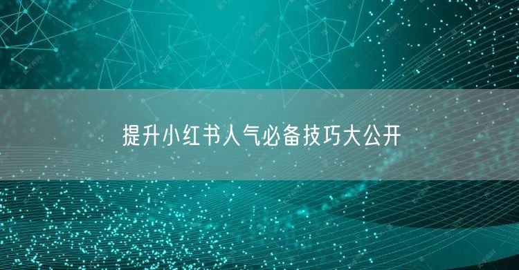 提升小红书人气必备技巧大公开