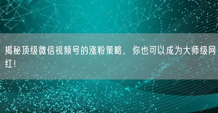 揭秘顶级微信视频号的涨粉策略，你也可以成为大师级网红！