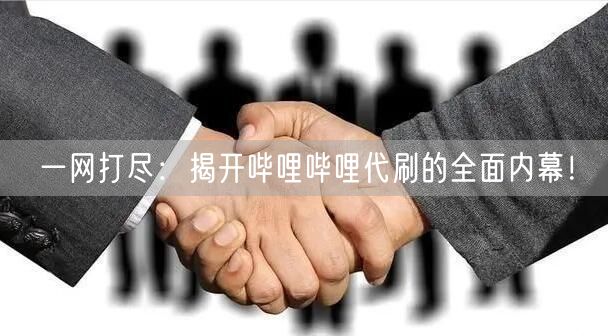一网打尽：揭开哔哩哔哩代刷的全面内幕！